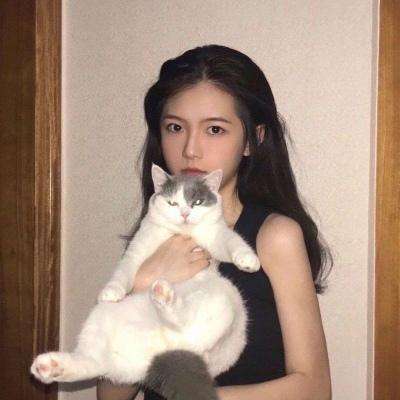 萝莉有杀气破解版下载